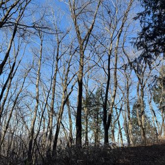 空は青い。
急にピタリと風がやんだので、