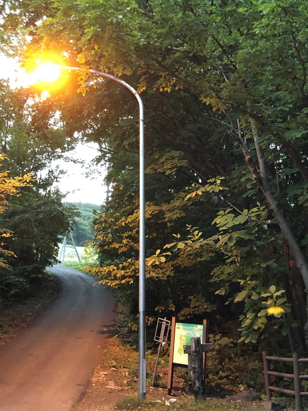 藻岩山ルート入口-山鼻山 往復コースの写真