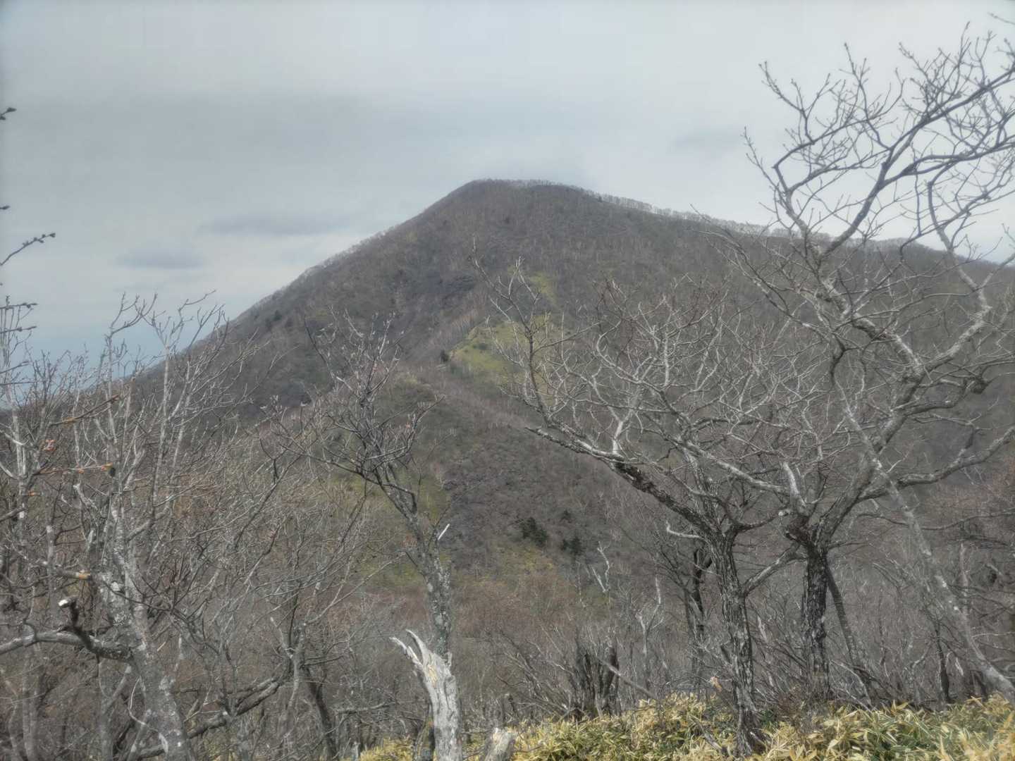 黒檜山にもいずれ行きたいなぁ🫡
風が出てきましたので戻りましょう🌬️