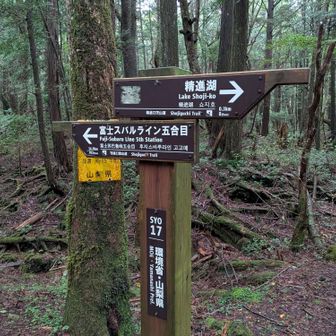 富士スバルライン五合目まで703分☺️
健脚のみなさんぜひ！