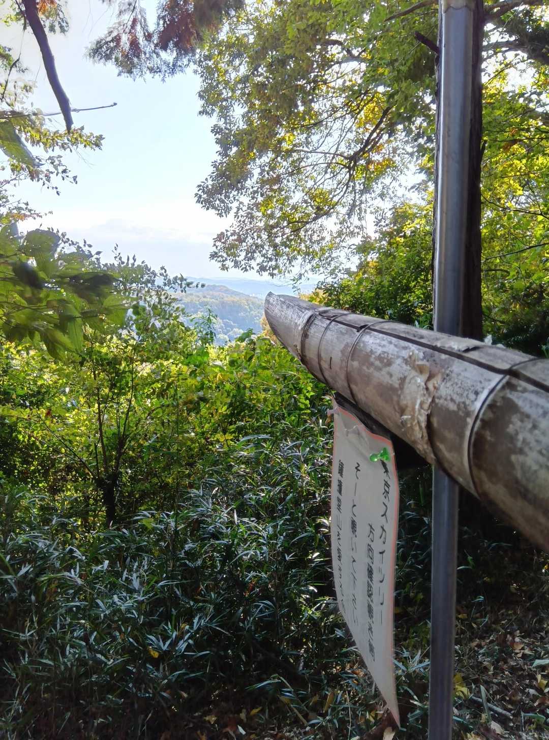 覗いてもスカイツリー見えず