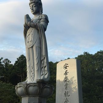 見守ってらっしゃる