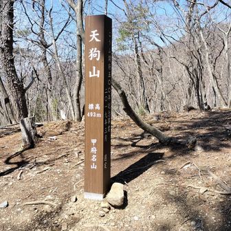 祠から少し下ったところに標柱がありました
