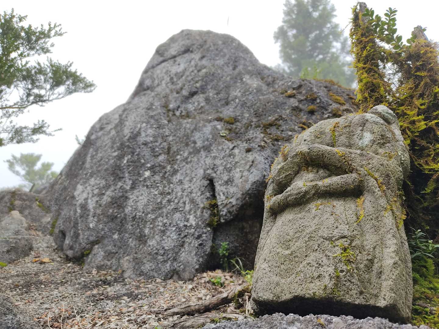 ちょっとかわいらしく見えてしまった。