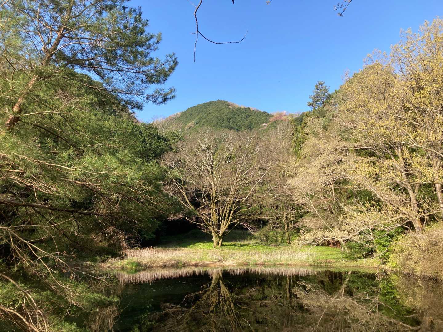おっ❗️ 見えてきました🎶　
うんうん...イイ雰囲気です😊
