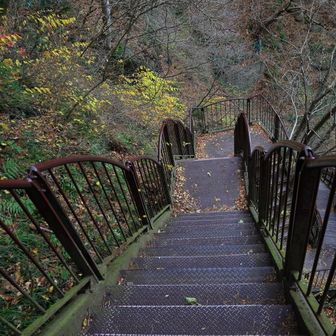 もう少し　かなり足に来ています