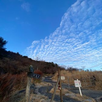 ではでは、早速