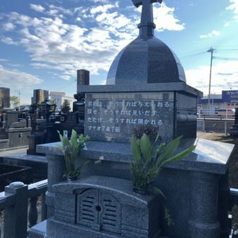 YoNeP🌾よねっぷ