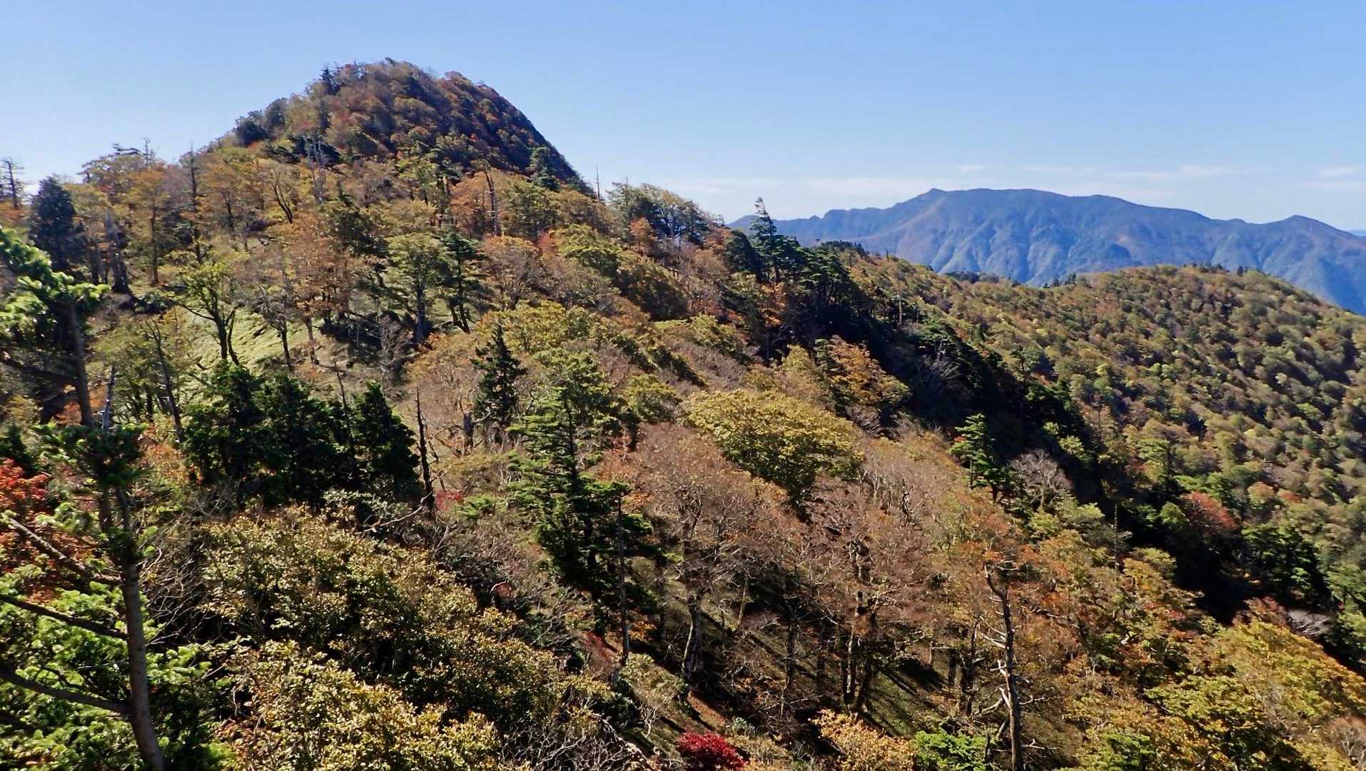 藪漕ぎしたら絶景ポイント発見💡
こっちからの大普賢岳は初めてよ😍