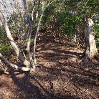 高指峰山頂へのアプローチ