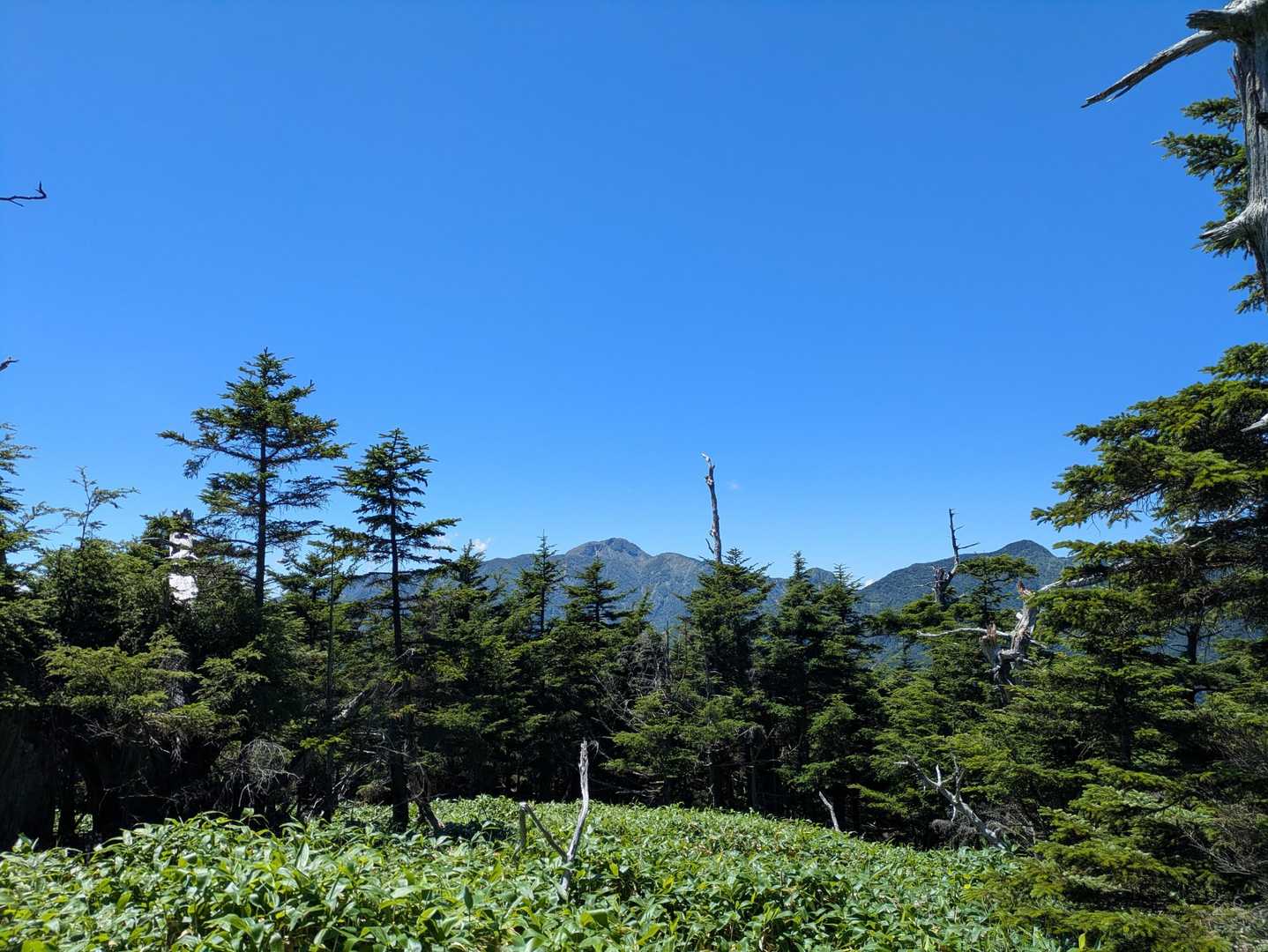 太郎山登山口-山王帽子山 往復コースの写真