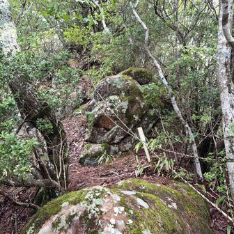 途中から岩尾根になり、ロープ場🪢の急登になります😥

狭くて滑りやすいので注意が必要です⚠️