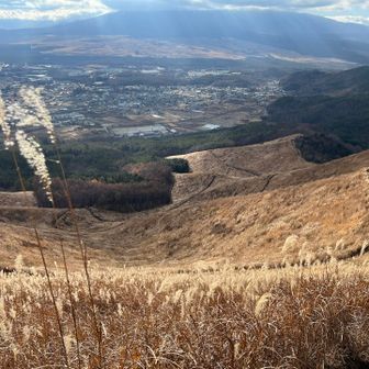 高座山からの下山中の１枚
美しい景色と同時にどぎつい斜面を下っていきました😫