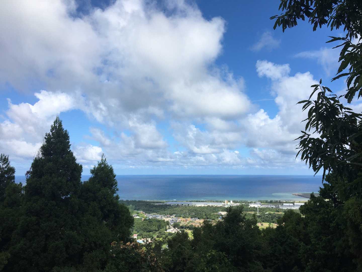 朝倉山 往復コースの写真
