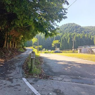 尼ヶ岳との分岐点着。

実は、以前もここで間違えていて、桜峠から尼ヶ岳を目指し、大変な事になっていました。(^_^;)

ルートの確認をしっかりしないといけないのに、情けない・・・。

ただ、人生で二度と来ることのない場所と思っていたこの場所に、また来られたのも、良い思い出です。(^_^;)