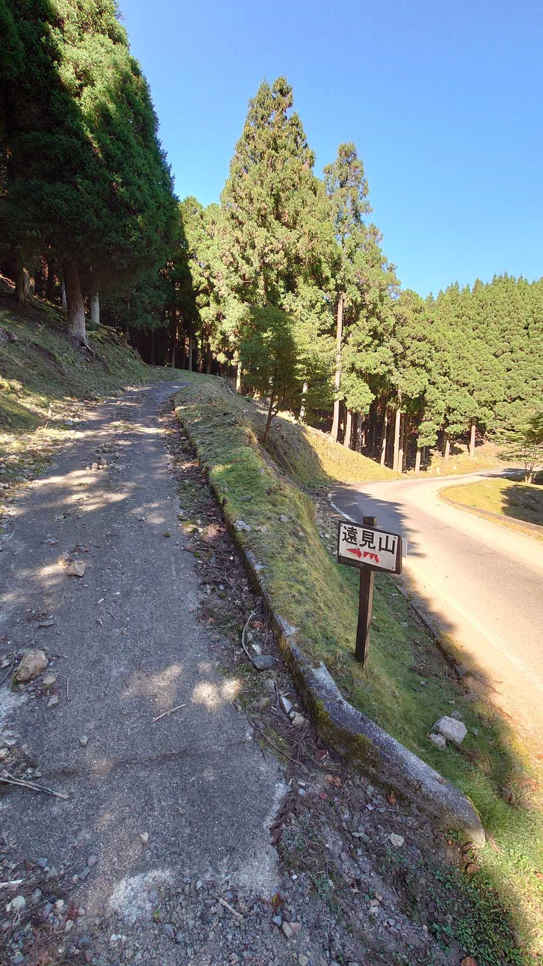 遠見山登山口-遠見山 往復コースの写真