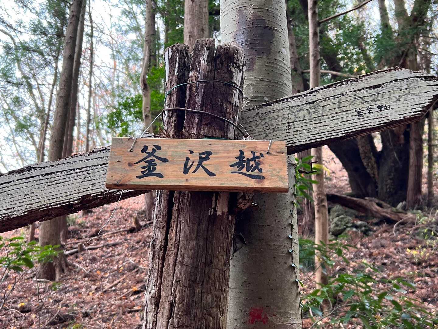 篭岩 周回コースの写真