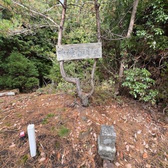 山頂プレートは色が消えてます。