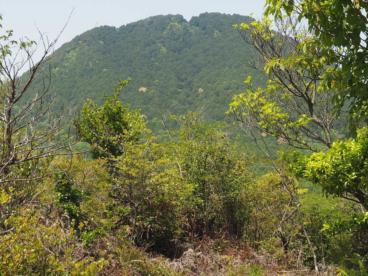 眺望あり。三上山。