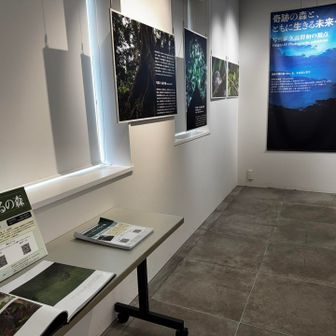 写真展「やんばるの森」