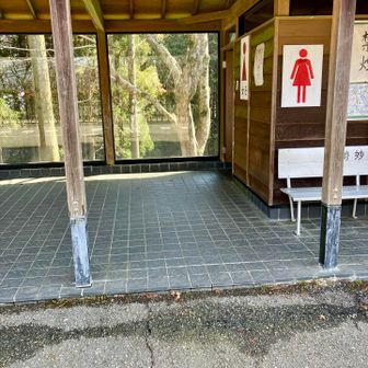 水洗、和式、トイレットペーパーあり