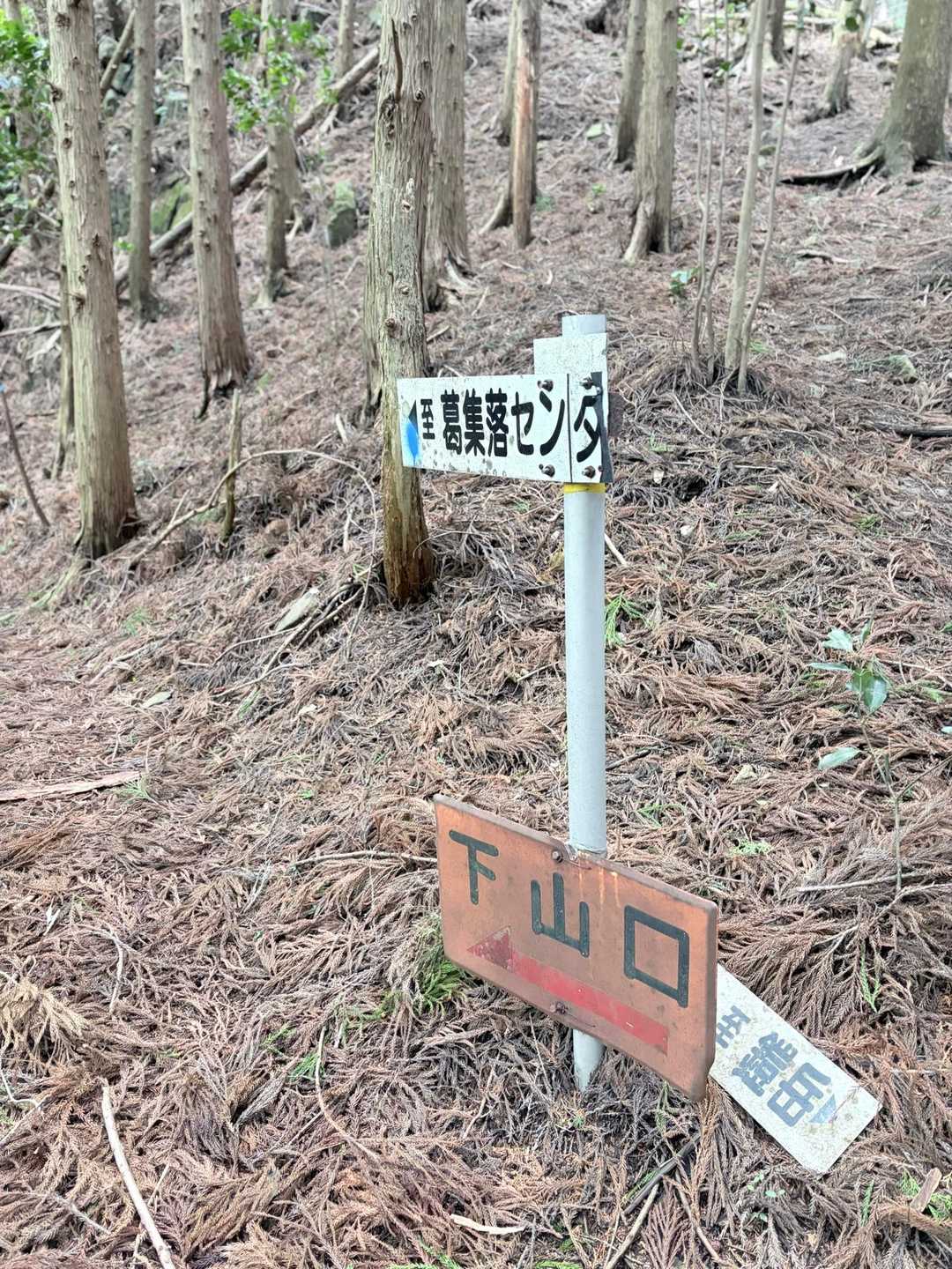 下山します〜
杉の葉だらけの道を下ります
アレジオン飲んできて正解
飲まなかったら
明日が地獄💧
