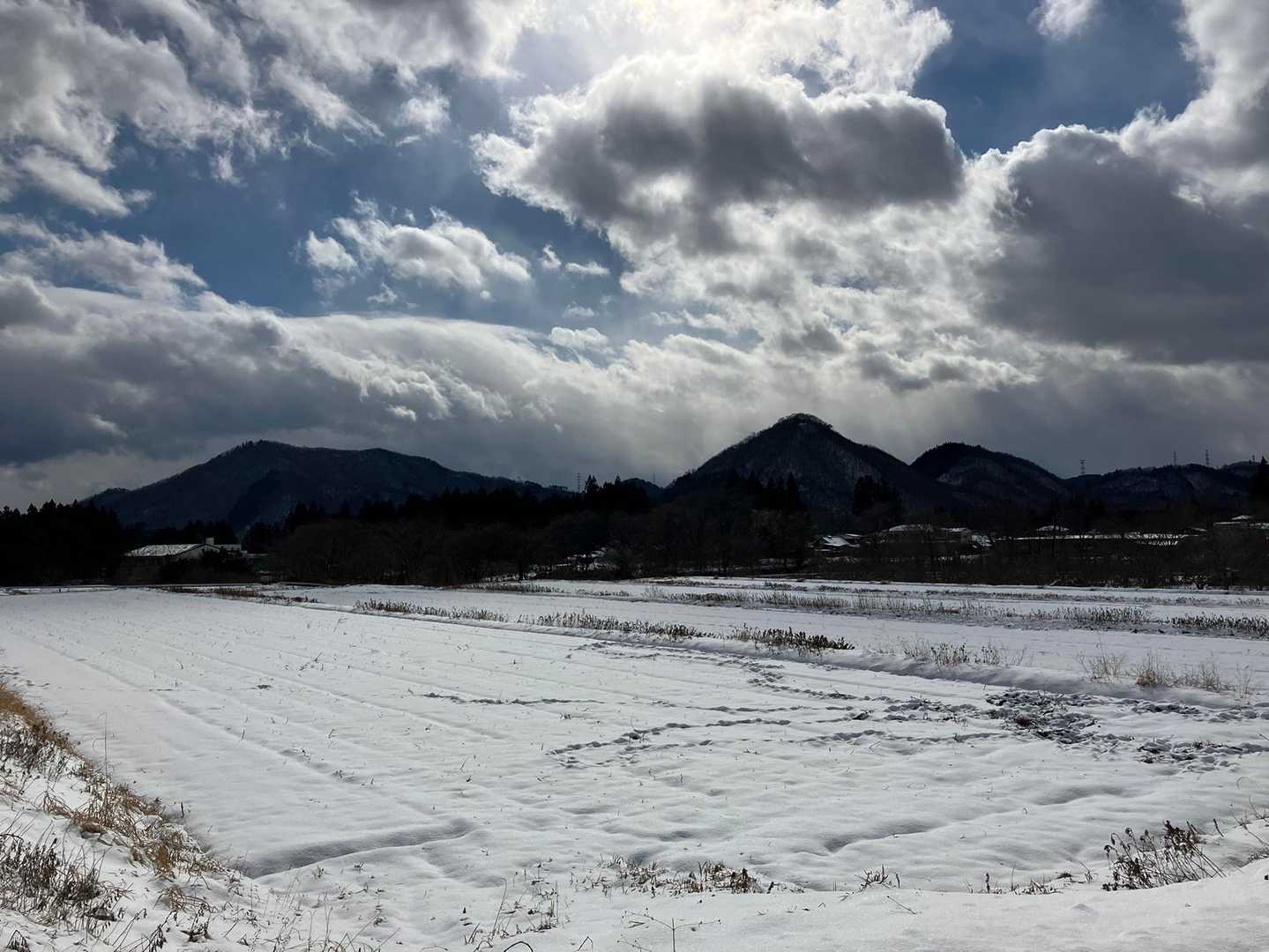 愛宕山・大旗山・やけ山 周回コースの写真