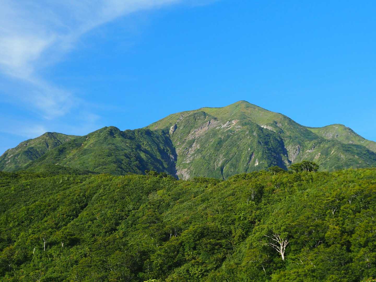 何度見ても美しい形をしている✨🗻