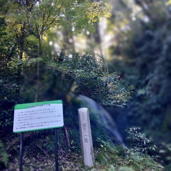 平塚でも滝が見れました！