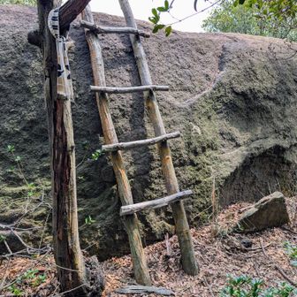 皆さんがパシャリ📸されてるハシゴがある🤭
先人レポのカバー写真で何度も見てたけど、実際に見てみると、大岩の形とハシゴの角度や大きさがシンデレラフィットしていて、心理的に安心する絵面✨（黄金律みたいに✌️）