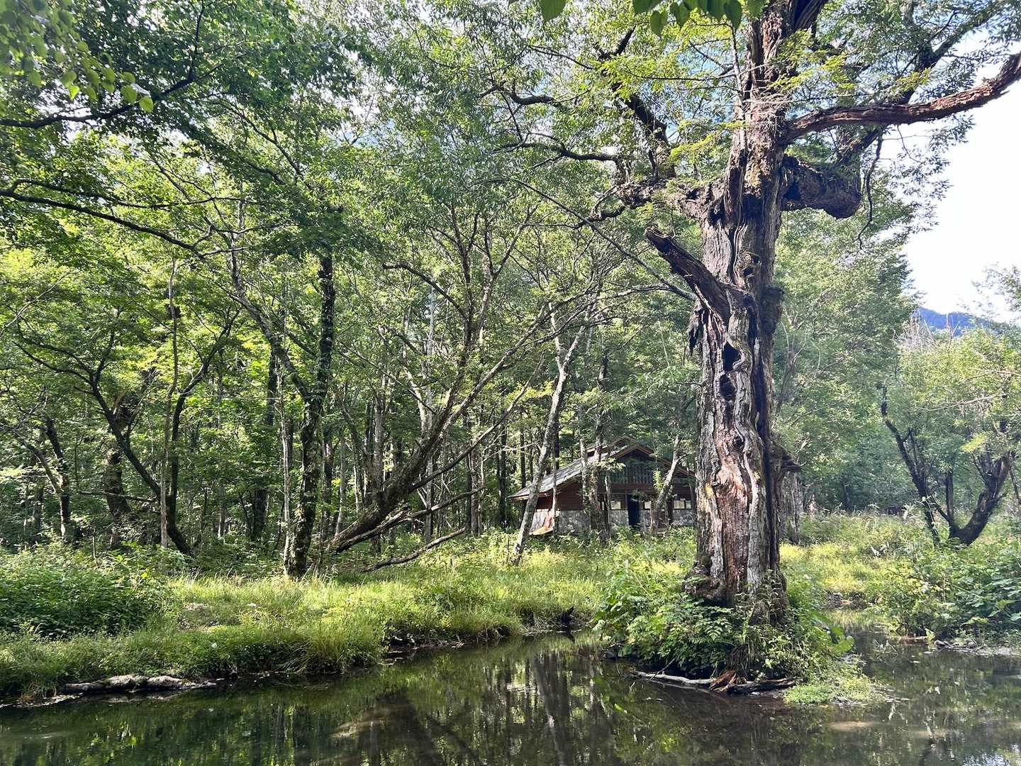 まるで🖼️絵画の様な一枚
(奥の小屋はトイレですけど...)
お疲れ様でした♪