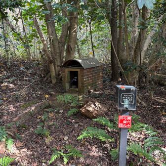 弘法めぐり67番
記憶のハコ