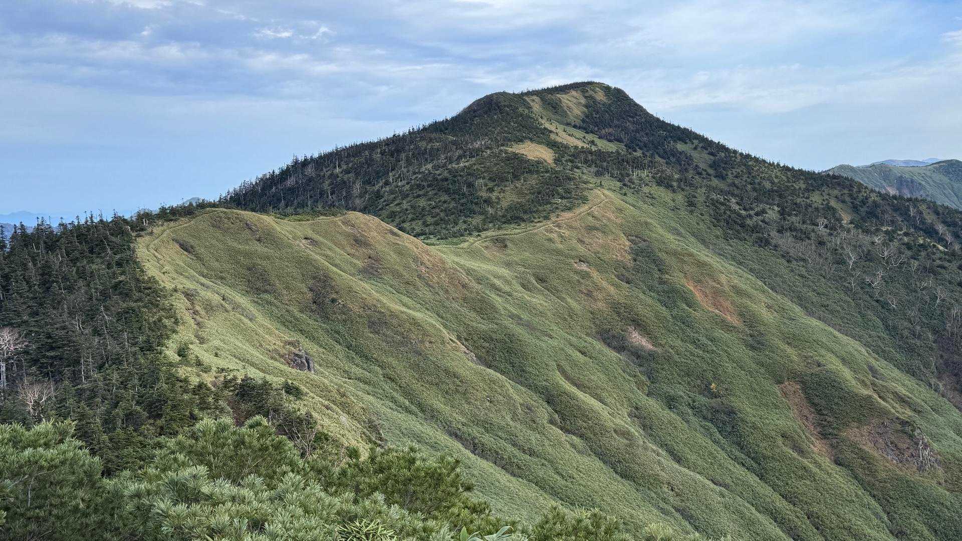 裏岩菅山への稜線😍