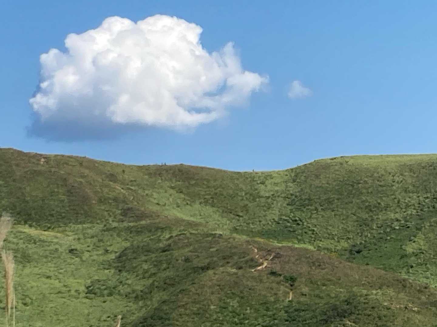 前、みんなが刈ってくれた登山道。
沢山の方が歩いてました。