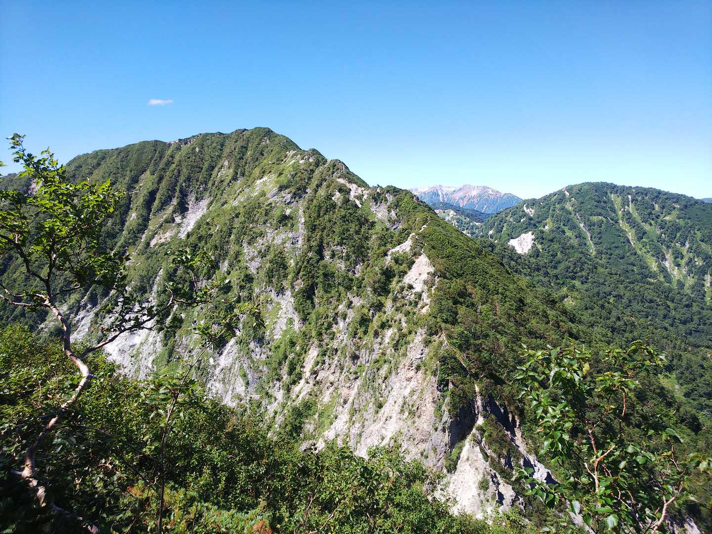 七倉岳を振り返ると激下りが良く分かります。ピストンだから当たり前だけど、帰路はあそこを登り返すのね😅