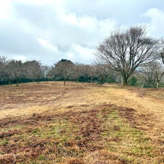 この辺りが田中城と呼ばれた城跡だろうか？