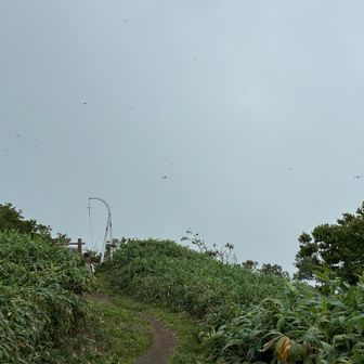 向こうに見えるはガスガスガス
