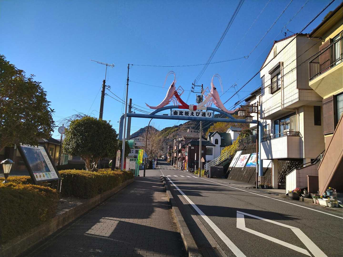 桜えびロードを西へ。
薩埵峠まで約5キロ💦