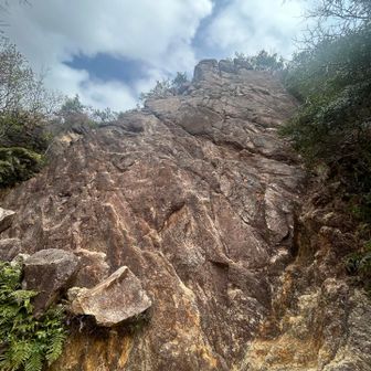 キャッスルウォール