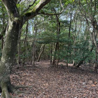 もう少し先まで