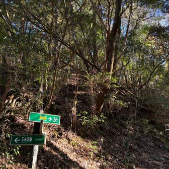 看板が新しくなってるような…？