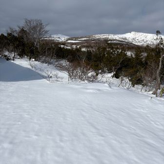 いわかがみ平から山頂方面。まだ木々に阻まれて、積雪期限定のコース取りはとてもできそうにありません。