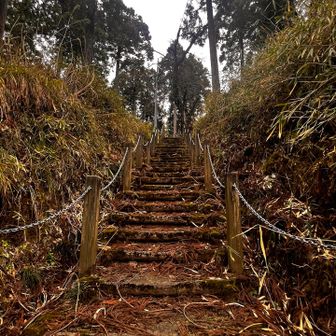 ずっと階段です