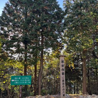 あっという間に若杉山頂