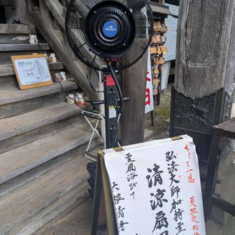 涼しく感じます