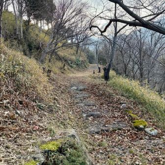 なかなかいい散歩道です