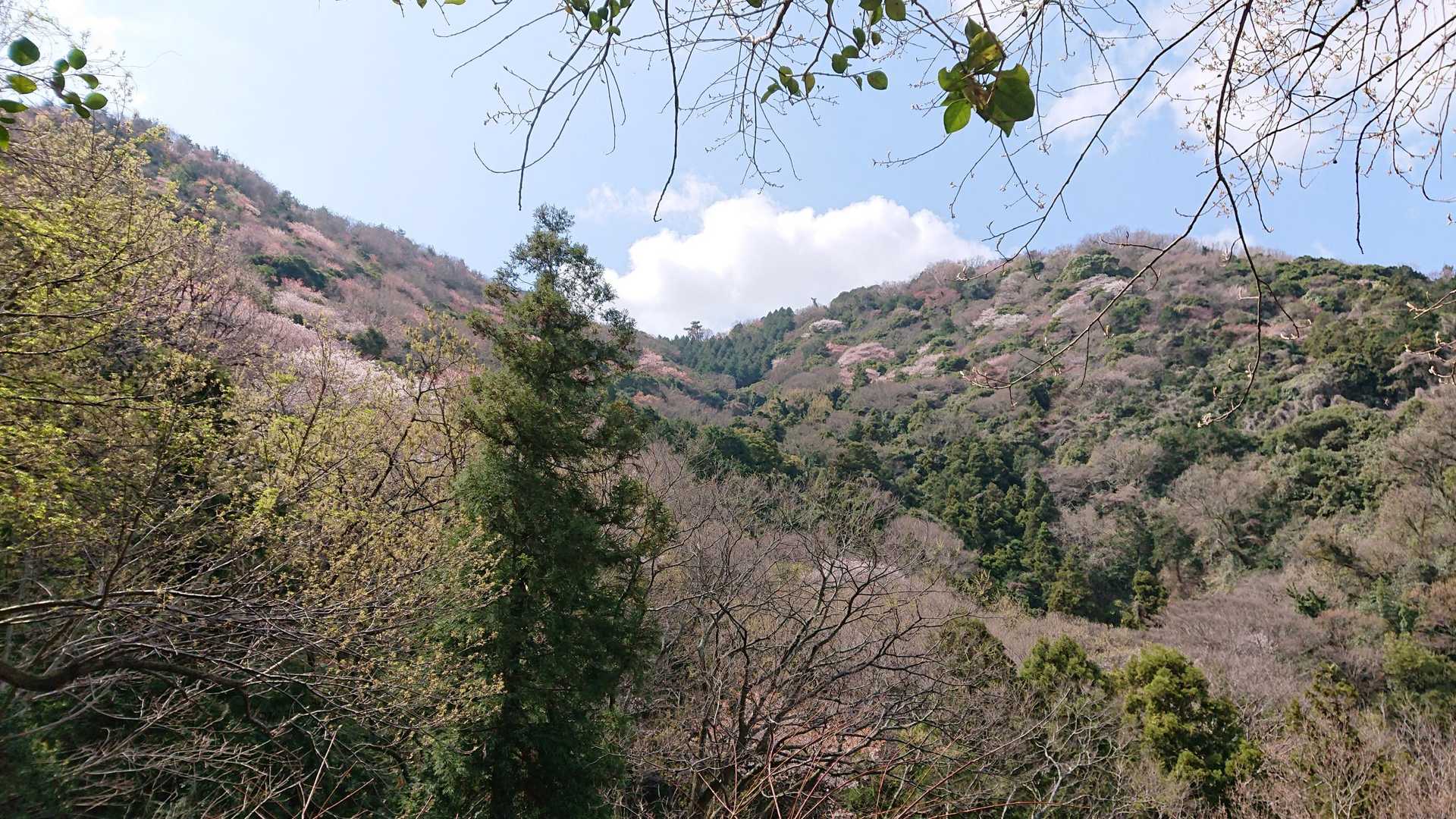 風穴登山口-志保山-七宝山-稲積山 往復コースの写真