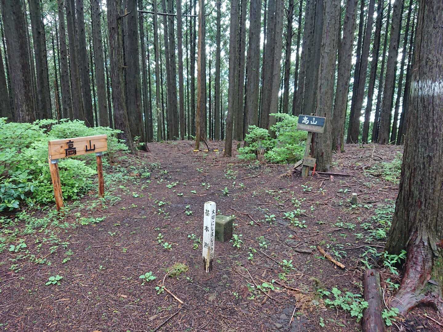 高山（静岡県静岡市葵区平山）の写真