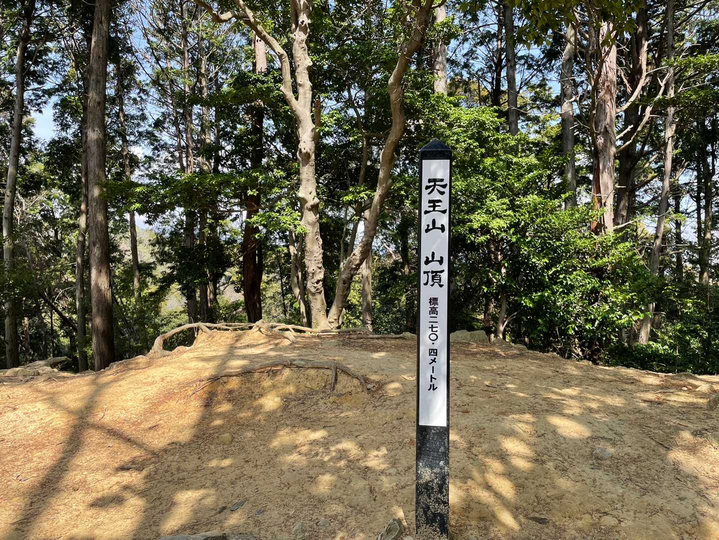 大山崎駅-天王山-酒解神社 周回コースの写真