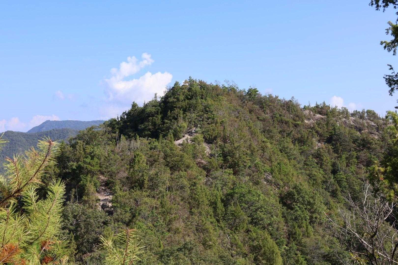 和気富士-観音山-竜王山-神ノ上山 縦走コースの写真
